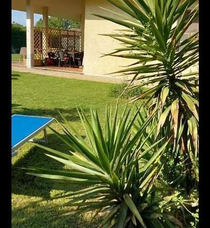 Green Garden Viareggio Exteriér fotografie