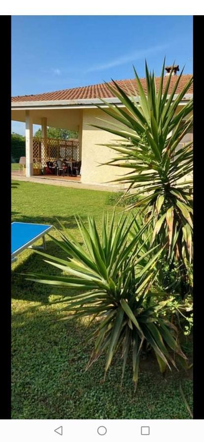 Green Garden Viareggio Exteriér fotografie